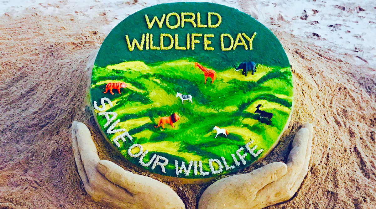 world wildlife day 2020: sudarsan pattnaik creates sand art