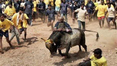 Jallikattu 2018: Aadhaar Registration Mandatory For Bull Tamers To Register For The Event