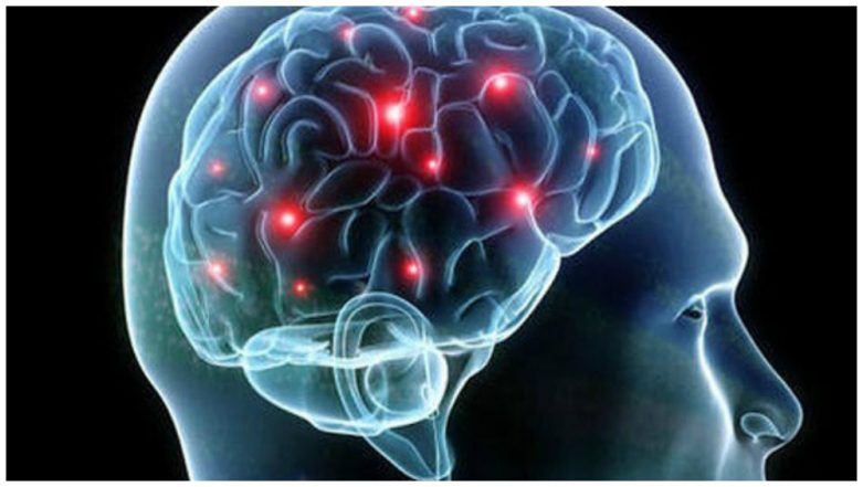 Indian Scientist Yogita K Adlakha Develops Human Model To Study Brain Disorders
