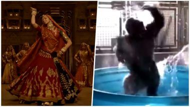 'Padmavati' Deepika Padukone and Chimpanzee Dancing on Padmaavat's Ghoomar Song Should be a Stress-buster for Bhansali