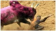 Jallikattu: 19-Year-Old Gored to Death by Bull in Madurai