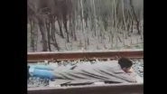 Kashmiri Man Lies on Railway Track for Viral Stunt Video, Twitter Calls It "Stupid"