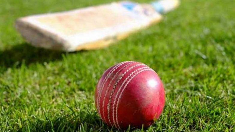 Pappu Yadav&rsquo;s Son Sarthak Ranjan Selected for Delhi T20s Without Playing a Match This Season