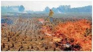 Delhi's Air Pollution Issue: JNU Professor Comes Up with Solution to Stubble Burning