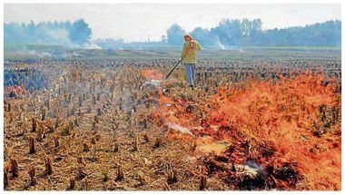 Delhi's Air Pollution Issue: JNU Professor Comes Up with Solution to Stubble Burning