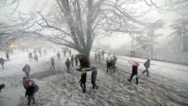 Image result for northindia winter