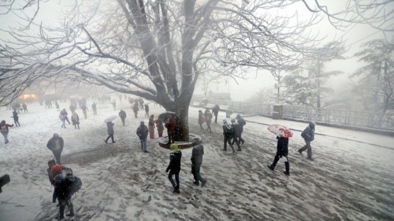 Winters 2019: North India Shivers, Cold Wave Conditions to Turn Worse in Coming Days, Says IMD