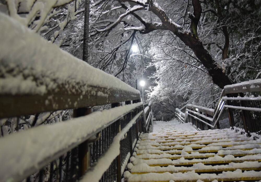 Stairs look like leading to a snow wonderland. Stairs look like leading to a snow wonderland.
