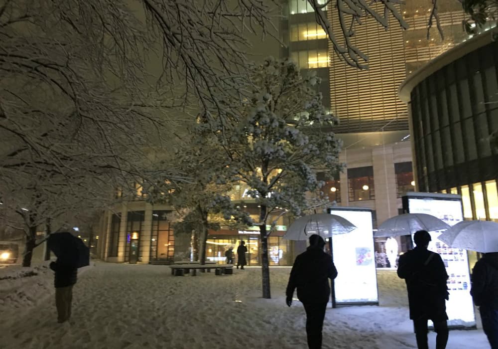 People have to be extremely careful from slipping on the snow. People have to be extremely careful from slipping on the snow.