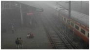 Cold Wave In Delhi and North India: Fog Continues to Hit Train Services