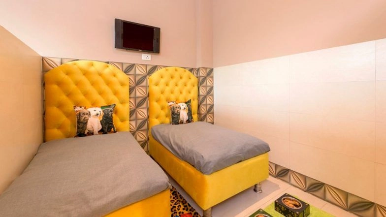 India Gets Its First Dog Hotel 'Critterati' as Pet Pampering Goes Luxurious