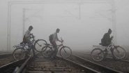 Delhi, North India Enveloped in Dense Fog, Train Services Hit Badly Due to Low Visibility