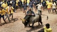 Jallikattu Then And Now: Objection, Agitation, Legislation - A Flashback