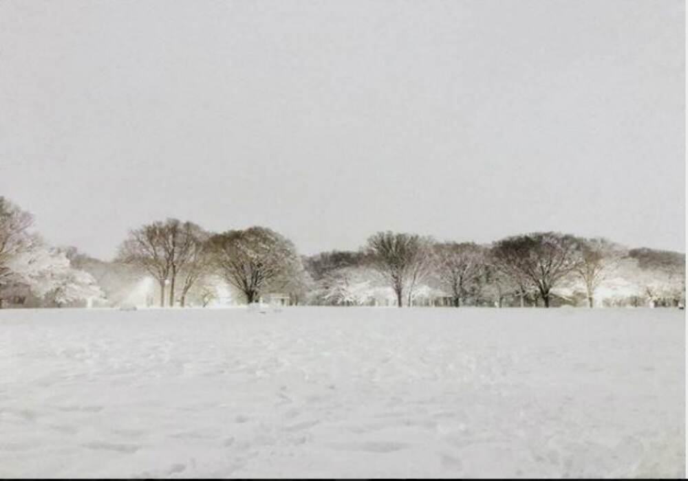 Tokyo has snowy landscapes all over. Tokyo has snowy landscapes all over.