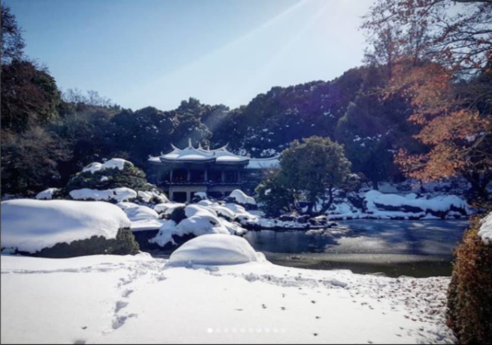 The park garden looks more pretty covered in snow. The park garden looks more pretty covered in snow.