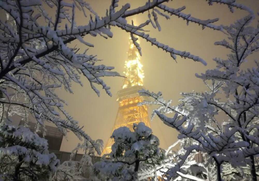 The Tokyo tower all lit up captured through the snow covered branches. The Tokyo tower all lit up captured through the snow covered branches.