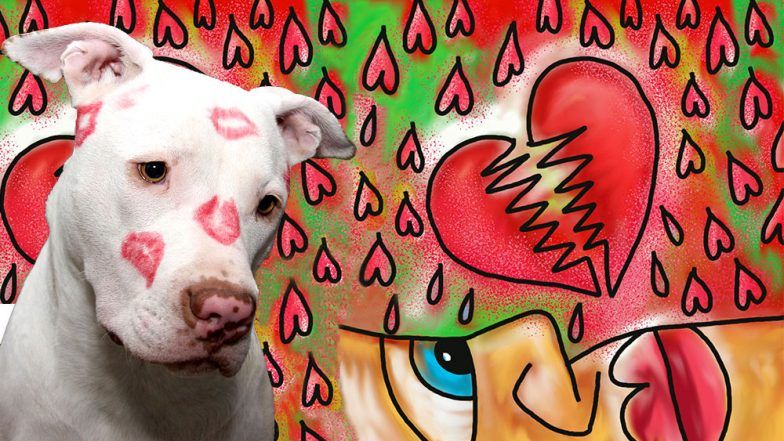 Anti-Valentine’s Day! We Hate 'Love' And These Campaigns Against Celebration of Valentine’s Day Are Proof