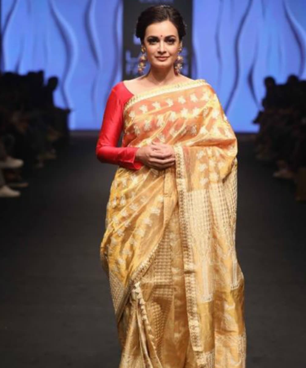 Dia Mirza in a golden saree of Sanjukta Dutta's creation Dia Mirza in a golden saree of Sanjukta Dutta's creation