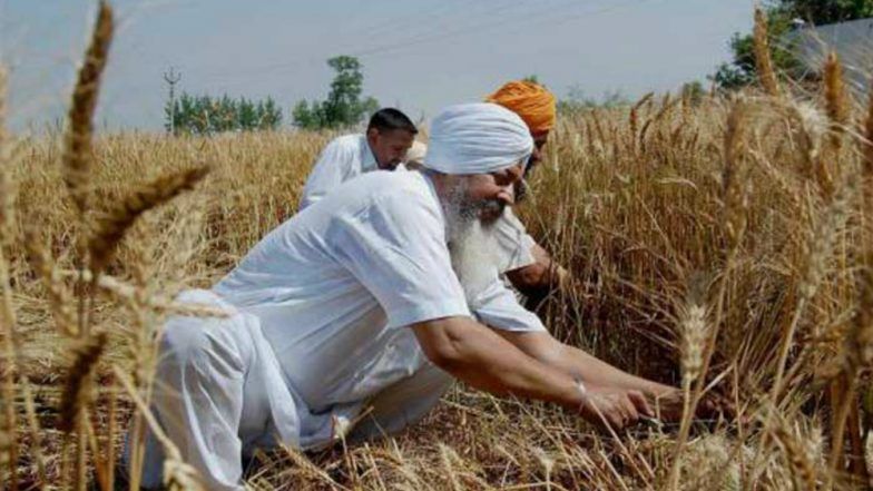Cabinet Approves Assistance of Rs 5.5 Per Quintal to Sugarcane Farmers