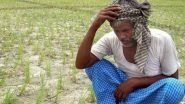 Union Budget 2018: UP Farmers Unhappy with Budget
