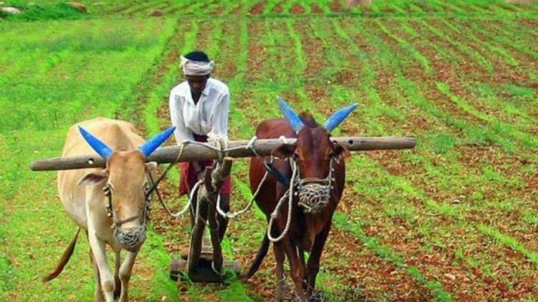 Tribal Village in Chhattisgarh Takes Up Community Farming for Sustainable Living
