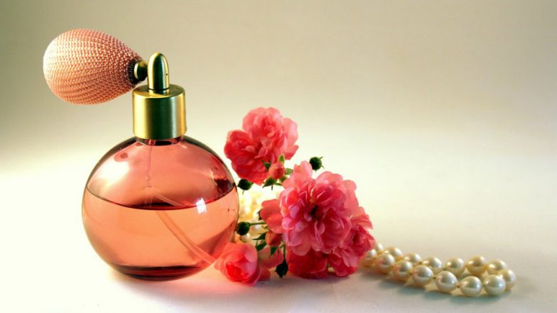 Study Suggests that Smells Engage The Brain's Navigation System