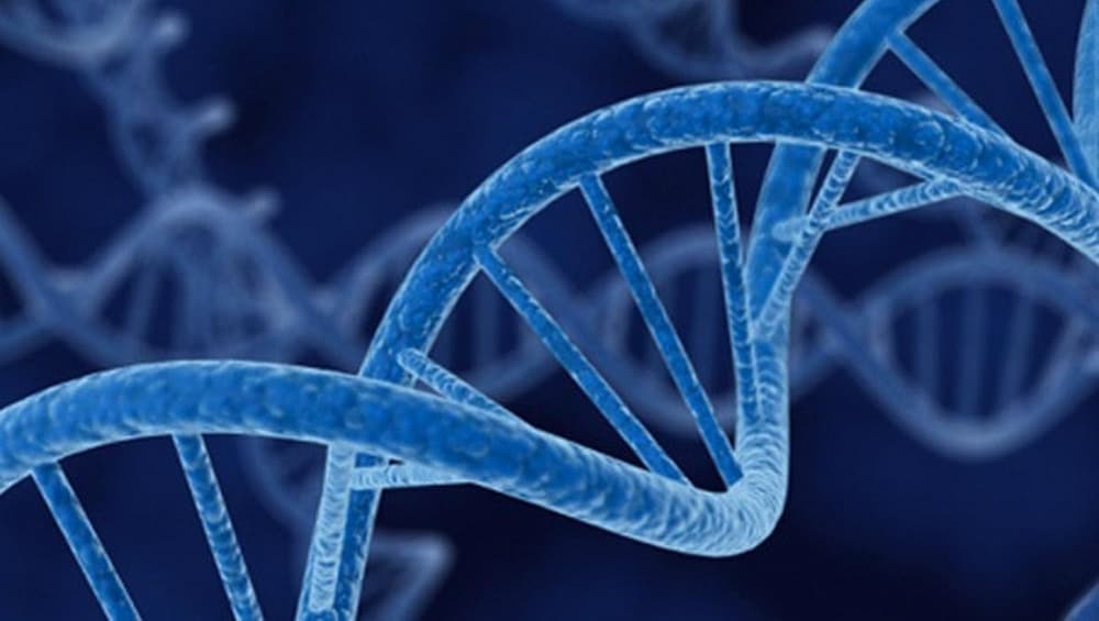 Researchers Identify Genes Linked to Heart Failure Researchers Identify Genes Linked to Heart Failure