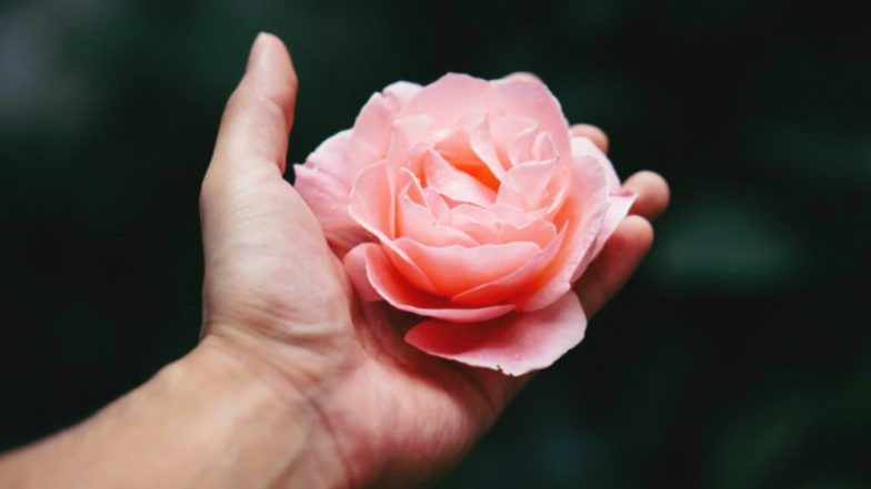 Rose Day Gifts: Here's What You Can Gift Your Loved One on the First Day of Valentine Week 2018