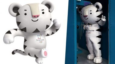 Who are the Mascots for the 2018 Winter Olympics? Know Everything About Soohorang, The Pyeongchang Winter Games Mascot