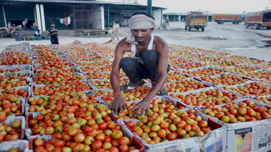 Tomato Prices Cross Rs 80 Per Kg in Delhi, Know Why Rates Shoot Up