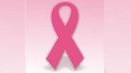 How to Identify Breast Cancer Treatment? New Optical Imaging System to Predict Early Response to Chemotherapy