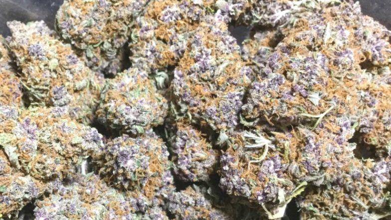 210 Kg Cannabis Seized in Thane District; Four Held