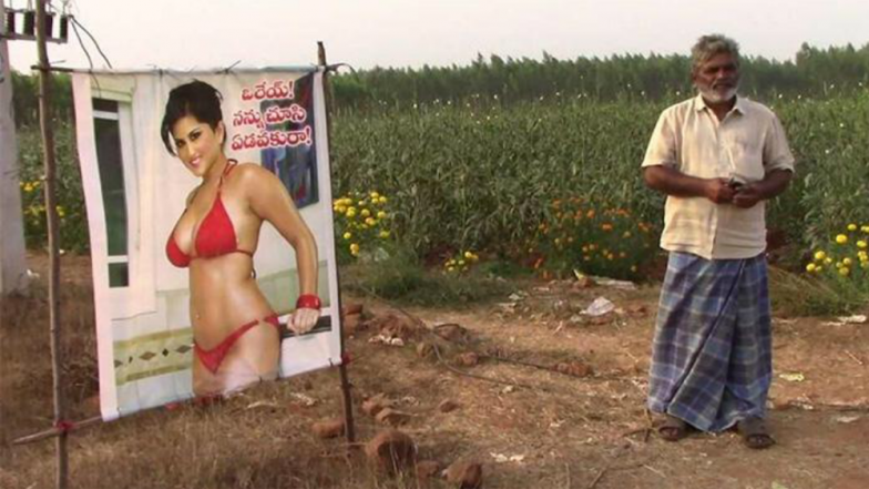 What Do you Use Sunny Leone Pics For? This Farmer in Andhra Pradesh Uses Actress' Poster as Scarecrow
