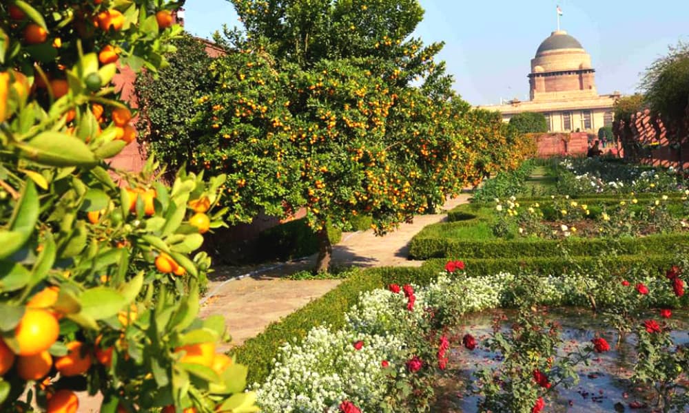 Other colorful exotic flowerbeds at the Mughal Garden. Other colorful exotic flowerbeds at the Mughal Garden.