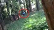 Man Jumps Into Lion's Enclosure in Kerala Zoo, Pulled Out Unhurt (Watch Video)