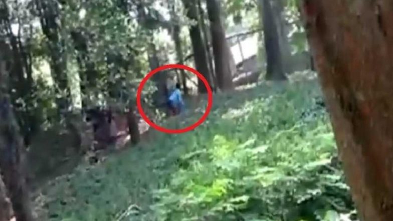 Man Jumps Into Lion's Enclosure in Kerala Zoo, Pulled Out Unhurt (Watch Video)