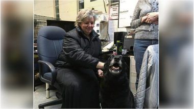 Missing Dog Reunited With the Pennsylvania Family: Microchip Helped in Finding The Pet After 10 Years