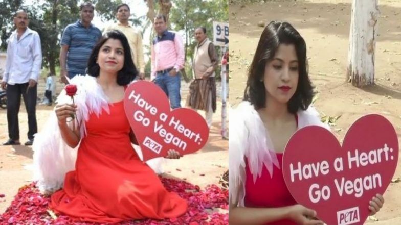 Celebrate Valentine's day Showing Love For Animals