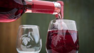 Red Wine Benefits Your Digestive System, But Still Bad for Your Health, Says New Study