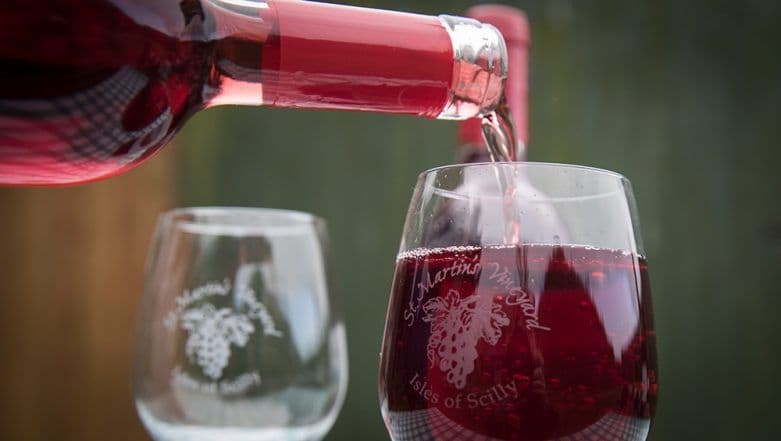 Red Wine Benefits Your Digestive System, But Still Bad for Your Health, Says New Study Red Wine Benefits Your Digestive System, But Still Bad for Your Health, Says New Study