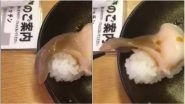 Moving Sushi Video from Japanese Restaurant Will Freak You Out!
