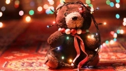 Happy Teddy Day 2018: Best WhatsApp Messages, GIF Images, Facebook Greetings & Cute SMSes to Wish Your Partner