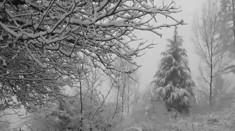 Fresh Snowfall in Srinagar Leads to Cancellation of Several Flights; Check Full List