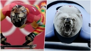 From Tiger to Polar Bear Here Are Super Cool Skeleton Helmets From Winter Olympics 2018