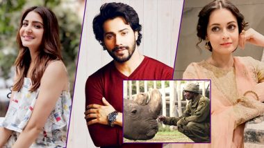 Anushka Sharma, Varun Dhawan, Dia Mirza: Bollywood Celebrities Share Heart-Felt Messages As Sudan The Rhino Passes Away