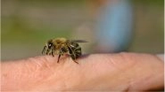 Woman Dies After &lsquo;Bee Acupuncture&rsquo; Therapy, Doctors Claim It Is Unsafe and Unadvisable