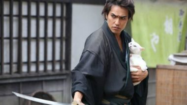 Cat-Loving Samurai's Viral Video is Winning Hearts on Internet