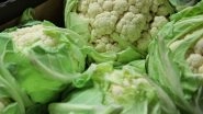 Rs 442 For 400 kg Cauliflower! Maharashtra's Jalna District Farmer Destroys His Vegetables Overcome by Grief