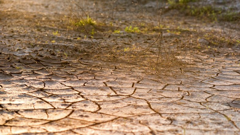 UN Allocates USD 34.6 Million for Drought-affected Afghans