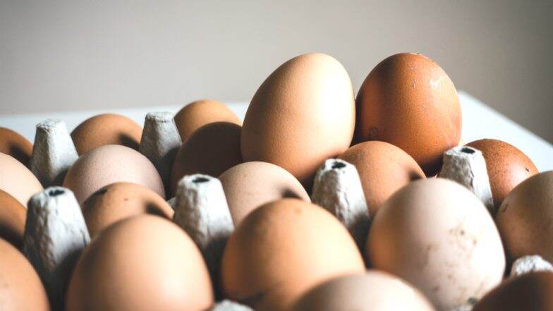 Uttar Pradesh: 42-Year-Old Man Dies After Eating 41 Eggs as Part of Bet in Jaunpur District Uttar Pradesh: 42-Year-Old Man Dies After Eating 41 Eggs as Part of Bet in Jaunpur District